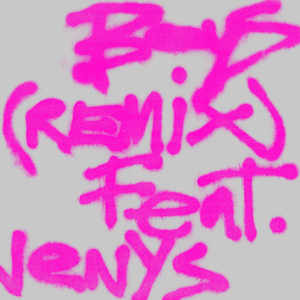 Boys (remix)