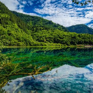 当春风吹动马蹄