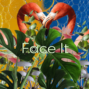 Face It