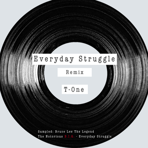 The Notorious B.I.G.-Everyday Struggle（T-ONE remix）