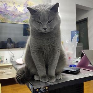 不过相逢