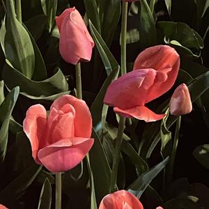 独白（Monologue）Produced by HYPER MUSIC