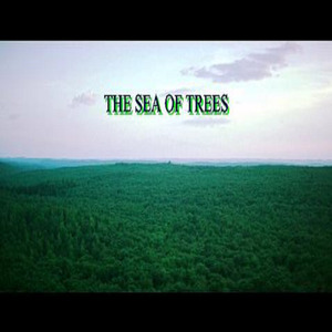 Τhe Sea of Trees