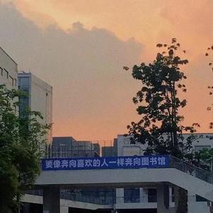 站点
