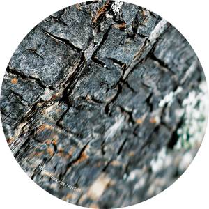 Construct (Remastered Mix)