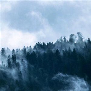 可你不是潜在水底的鱼