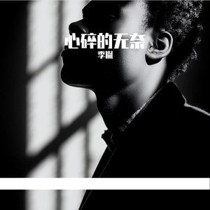 深夜の公路飘逸