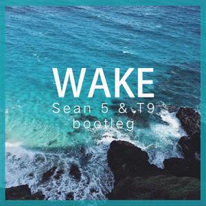 Pense-Wake(Sean 5&T9 bootleg）（T9 remix）