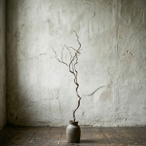 Gafil Gezme Şaşkın