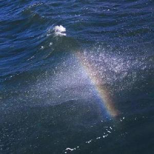 小玩串烧（翻自 留声玩具）