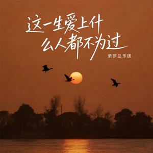 这一生爱上什么人都不为过