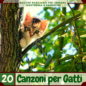 Cucciolo