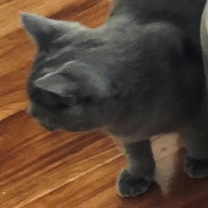 徐畅远 / 徐畅远-眼里mix（马常九日（마상구일） remix）