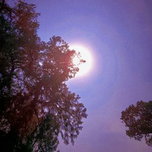 许多年（纯音乐）