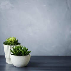 无悔今生爱过你