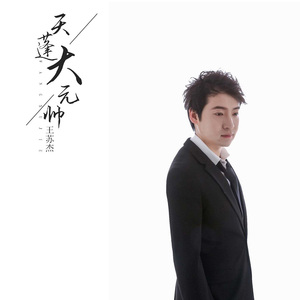 天蓬大元帅 (DJ版)