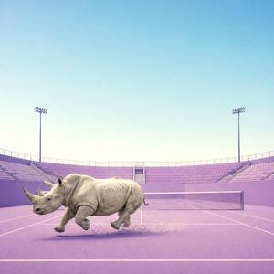 Hopping Rhino