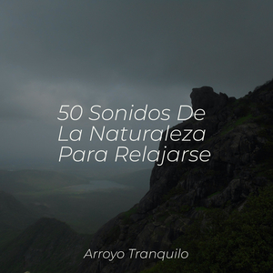 Momentos De Tranquilidad