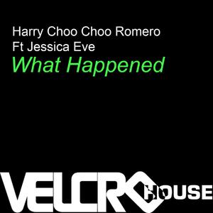 What Happened (Mync Project)