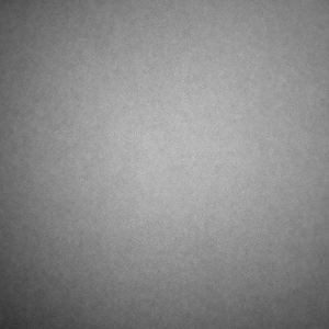 放朵花在我的坟前