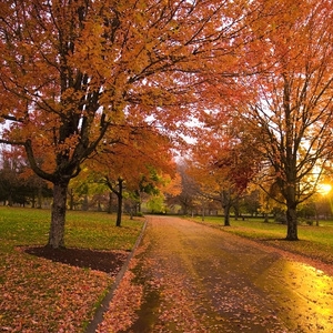 孤单南半球（demo）