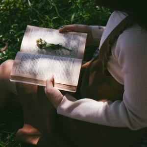 这一生关于你的风景