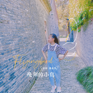 飞翔的小鸟
