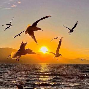 你是我最愚蠢的一次浪漫