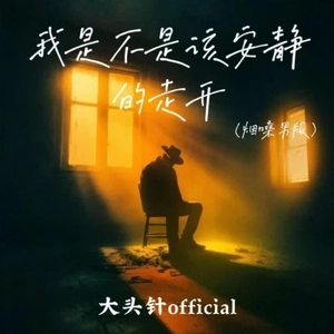 我是不是该安静的走开 (烟嗓男版)