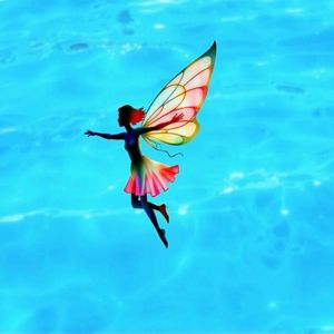 Крылья из паутины сотканы