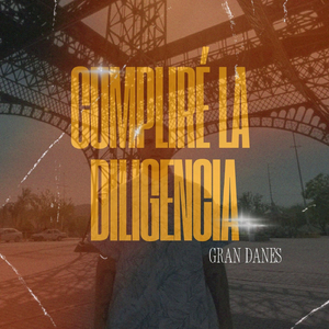 cumplire la diligencia