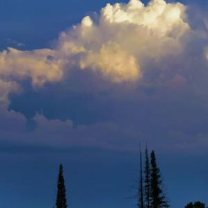 九十九次我爱他