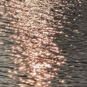 法老-我想remix（feat.泠风）（死鱼沉 / blsb-111 remix）