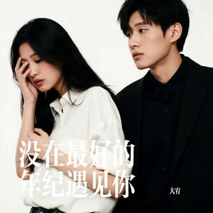 没在最好的年纪遇见你