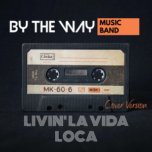 Livin' La Vida Loca (Cover Version)
