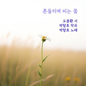 흔들리며 피는 꽃