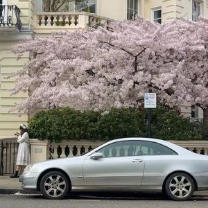 Passionfruit(金城武版）