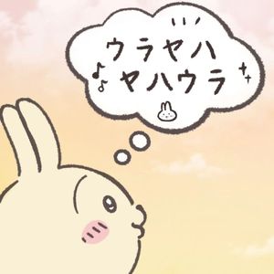 星光下的半生守候