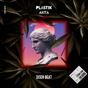 Disco Beat (Original Mix)