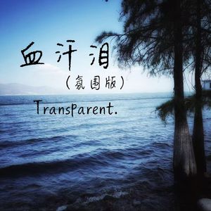 血汗泪(氛围版)