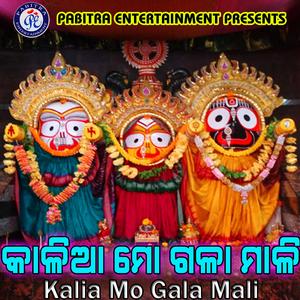 Kalia To Singha Duare