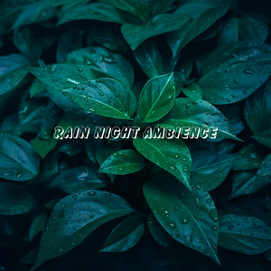 夜の瞑想ピアノBGM (雨)