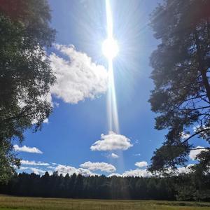 Du (feat. Raoul <sång, Janne Gitarr, Magne Orgel Piano Kör, Peter Bas Kör & Inspelning o mix Janne)