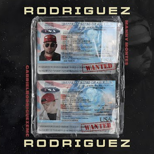 Rodríguez Rodríguez