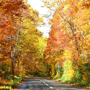 紅葉ドライブ～色づく景色を追いかけて～