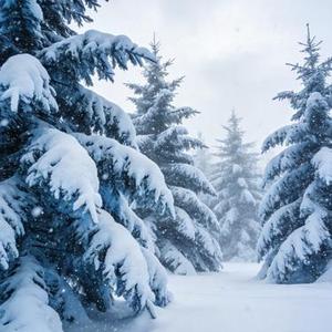 又是一年冬 (Cover 小奥奥)