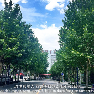 其实都没有（翻自 杨宗纬）