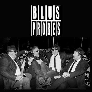 Somos Probes y Faltosos