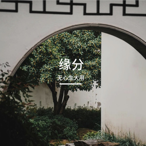 真的缘分不费力