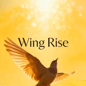 Wing Rise（开智）